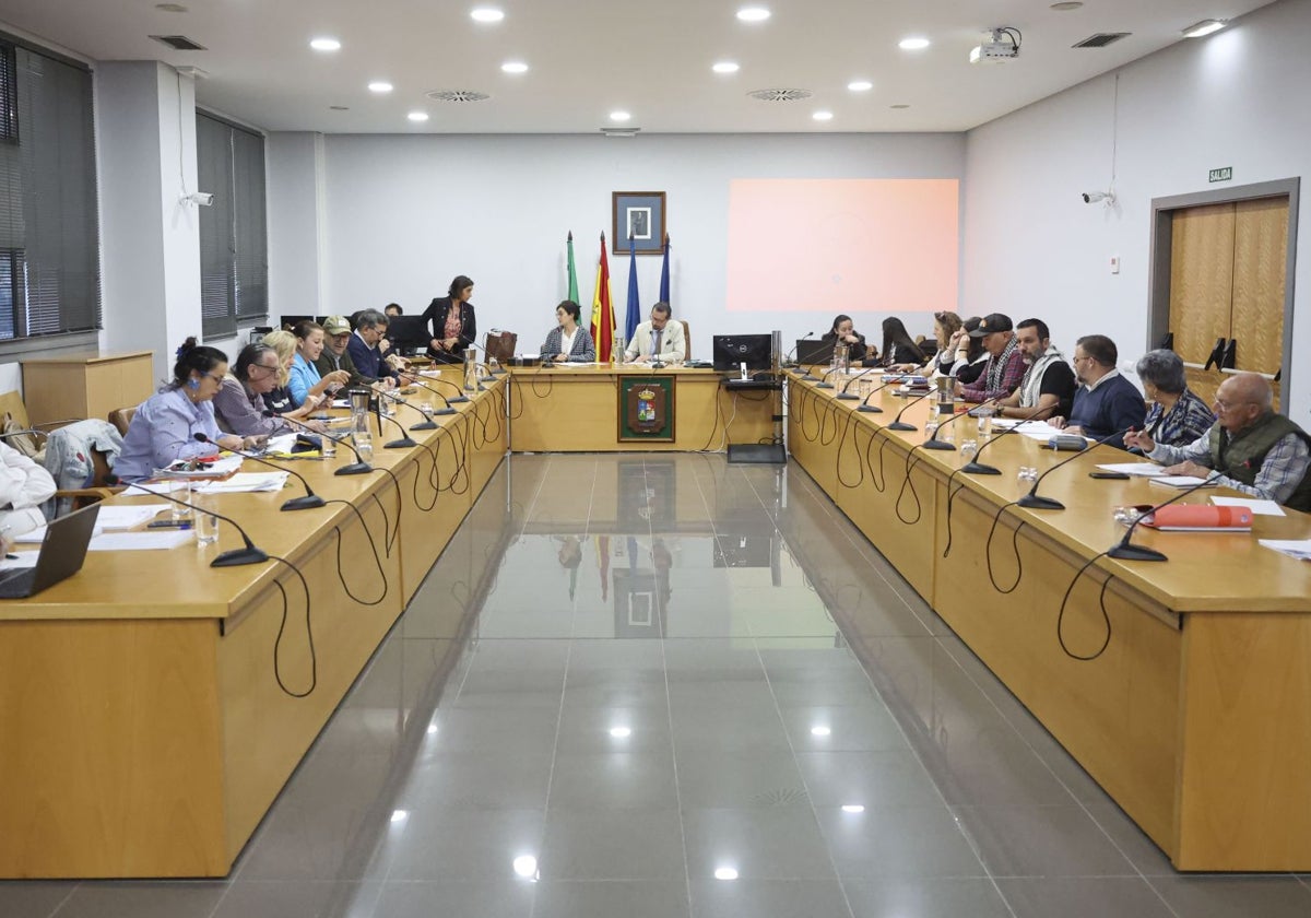 Castrillón presenta un presupuesto de 26,8 millones supeditados a un plan económico