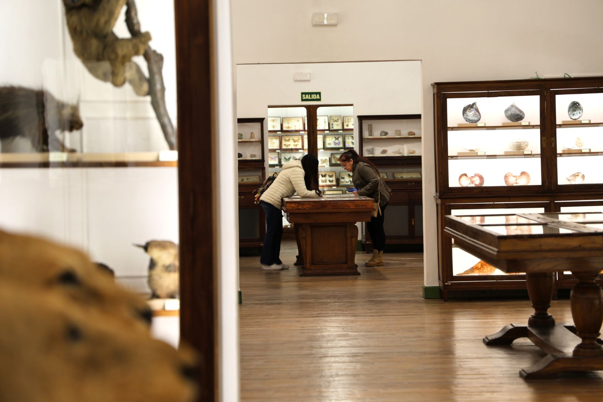 Dos visitantes del museo se detienen a observar la colección de minerales