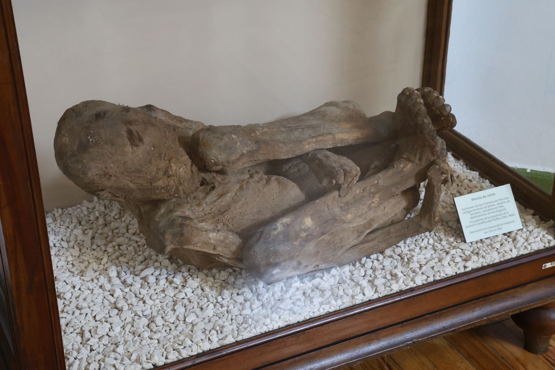 La momia extraída de una expedición española en el desierto de Atacama