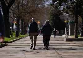 Una pareja de jubilados pasea por un parque.