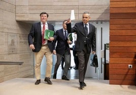 Diputados de Vox entran al hemicilo de la Asamblea el pasado jueves.