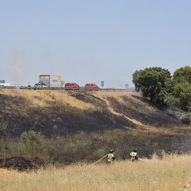 Los bomberos apagan el fuego de pastos