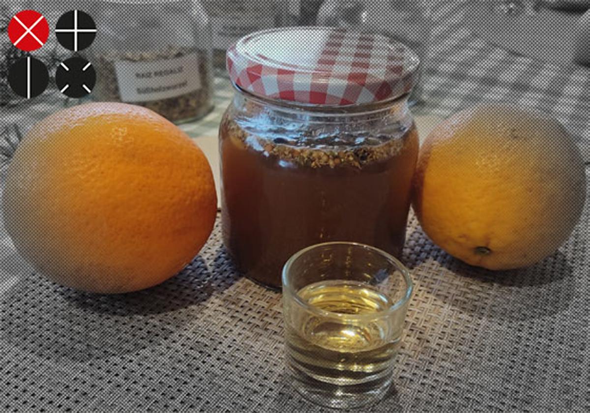 Aprender a preparar vermut en un huerto monumental de Carcaixent