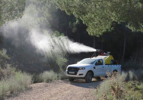 Fumigación de un bosque de la Región para combatir una plaga.
