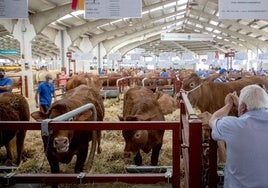 Feria del Sector Agropecuario