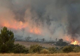 Incendio de Monsagro.